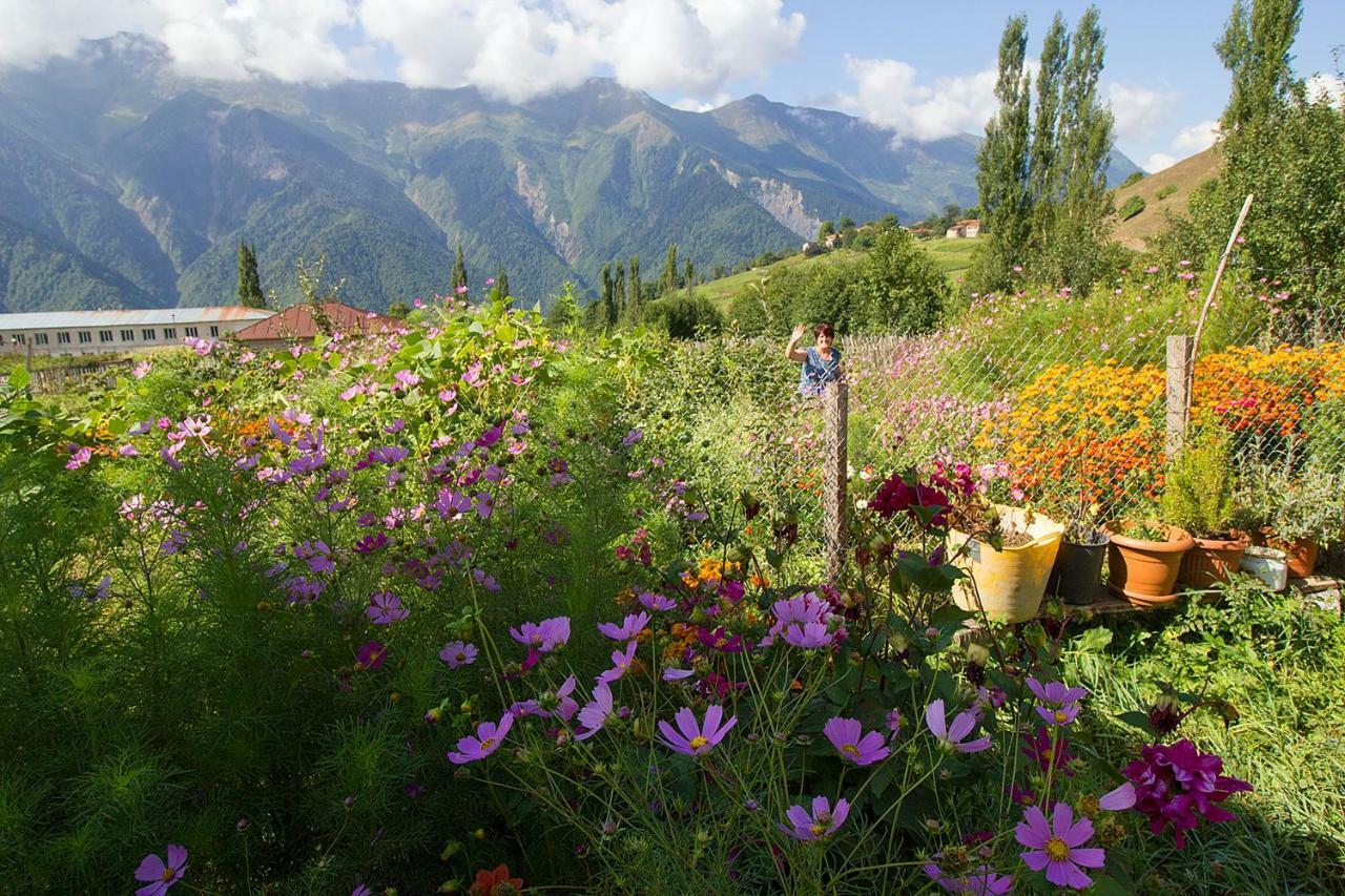 Hanmer Guest House Iskari Bagian luar foto