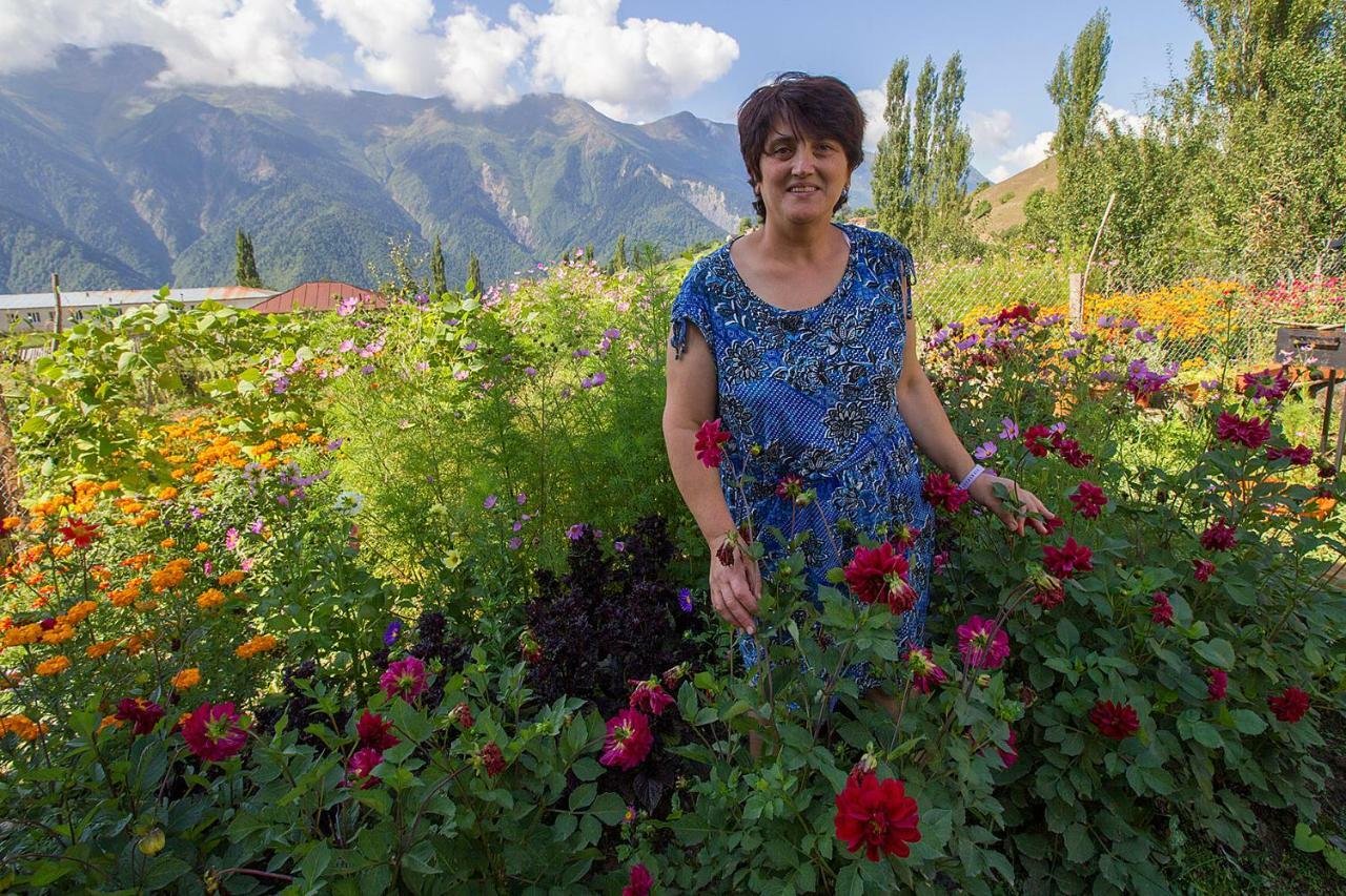 Hanmer Guest House Iskari Bagian luar foto